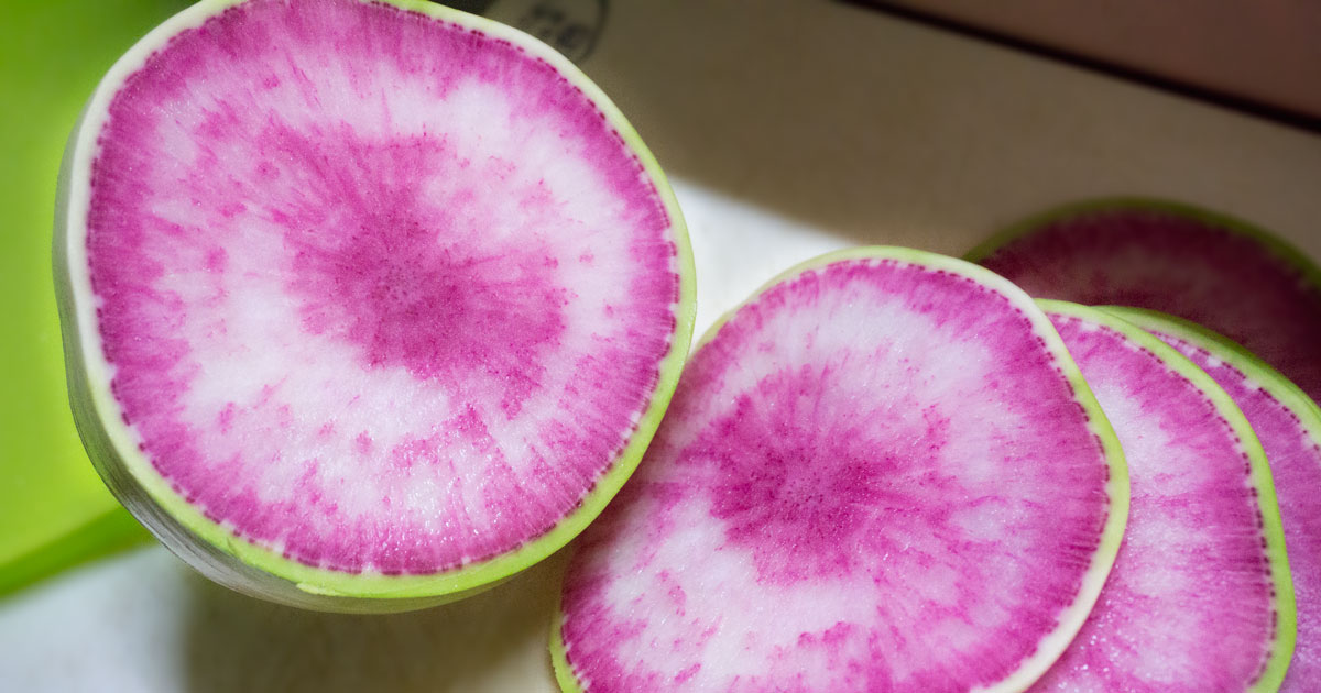 紅心大根 紅芯大根 こうしんだいこん Osamushi Blog